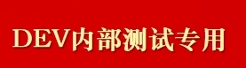 DEV测试